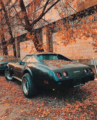 Chevrolet Corvette C3. 1977