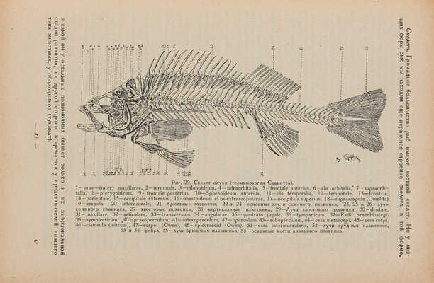 Гримм О.А. Рыбоводство. Научные основы и практика рыбоводства. 1931.
