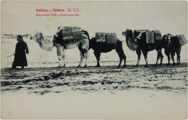 Открытое письмо «Сибирь - Siberie. № 111. Караван-чай. - Caravane-the». М.: Фототипия Шерер, Набгольц и Ко, 1903. 