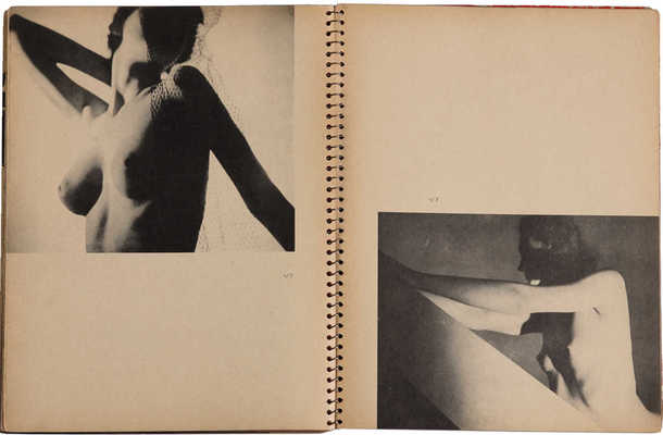 Тело в искусстве Александра Паала с двадцатью четырьмя аналитическими эскизами Артура Зайденберга. New York, 1939.