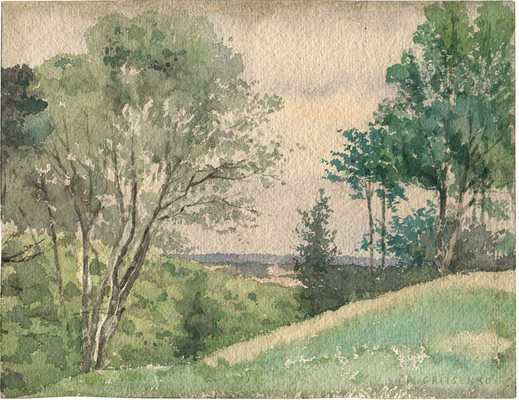 Гриценко Николай Николаевич. Летний пейзаж с деревьями