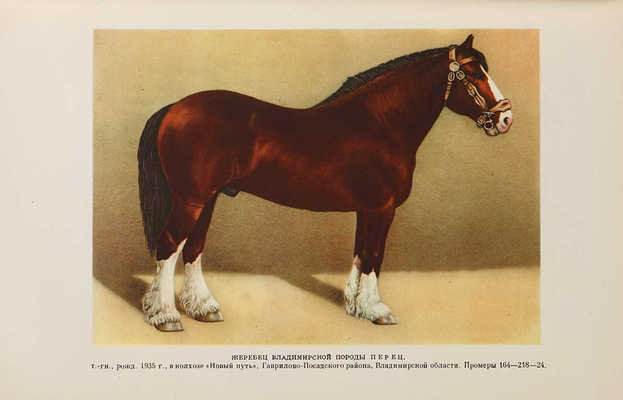 Книга о лошади. Составлена под руководством С.М. Будённого: в 5 т. Т. 1-5. М.: 1952-1959.
