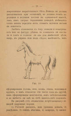 Иловайский С.К. Лошадь скаковая, верховая, рысистая, упряжная и тяжеловознаяю..: в 3 ч. 1900.
