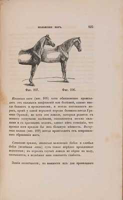 Рутенберг А.И. Руководство к познанию лошади по наружному ее осмотру. СПб.: Печатано в типографии Карла Крайя, 1847