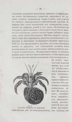 Фохт К. Зоологические очерки, или Старое и новое из жизни людей и животных. СПб., 1864.