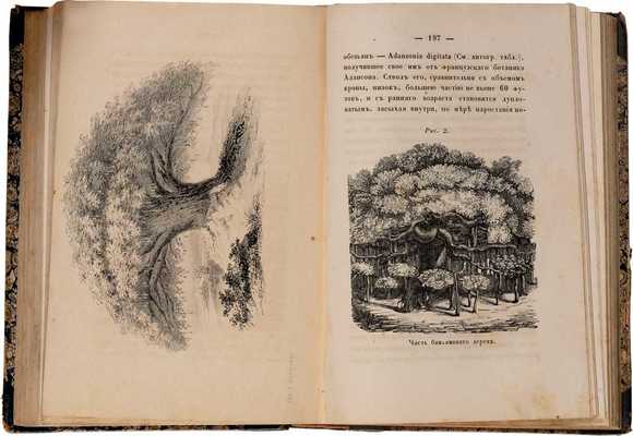 Подснежник: Журнал для детского и юношеского возрастов, издаваемый В.Н. Майковым. СПб., 1859