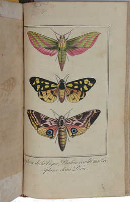 [Мало С. Бабочки Чарльза Мало]. Malo C. Les papillons par Charles Malo. Paris: Chez Janet, Libraire, [1816].