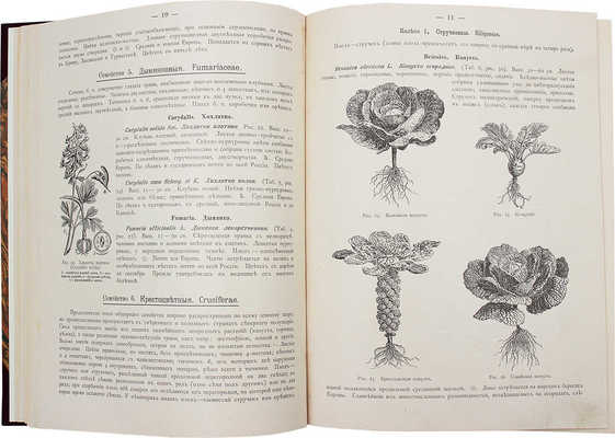 Гофман К. Ботанический атлас по системе де Кандоля... СПб.: Изд. А.Ф. Девриена, 1899.