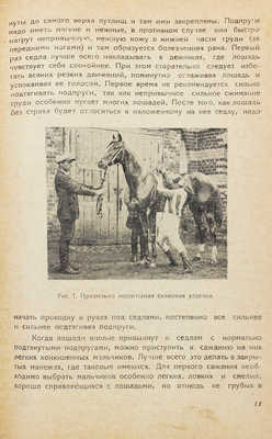 Вачнадзе Ф.А. Заездка, тренировка и испытание верховой лошади / С предисл. проф. П.Н. Кулешова. Тифлис, 1934.