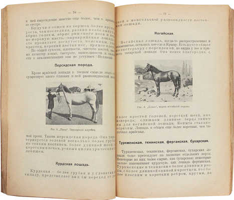 Придорогин М.И. Конские породы. 2-е доп. и испр. изд. М.: Новая деревня, 1923.