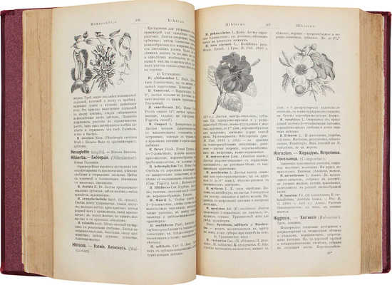 Золотарев П.П. Флора теплиц, оранжерей, садов и огородов. Иллюстрированный указатель растений... М., 1894.
