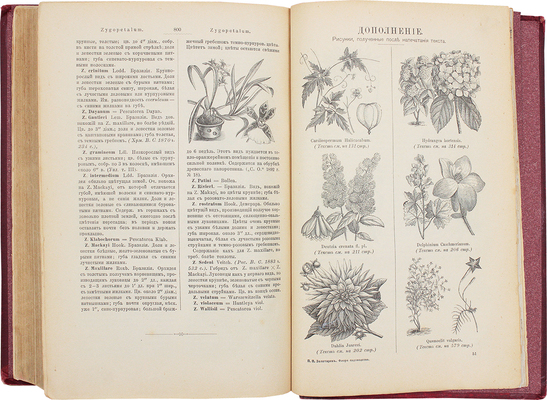 Золотарев П.П. Флора теплиц, оранжерей, садов и огородов. Иллюстрированный указатель растений... М., 1894.