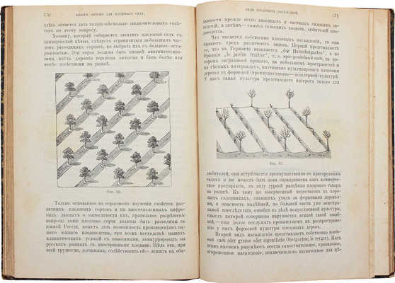 Раевский М.Н. Плодовая школа и плодовый сад. Руководство к культуре плодовых дерев в южной половине России. 3-е изд. СПб.: Изд. А.Ф. Девриена, 1888.