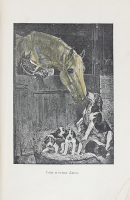 Саундерс М. Красавец Джой. История собаки, рассказанная ею самою / С англ. Е.Б. 4-е изд. М.: Тип. Н.В. Гатцук, 1914.