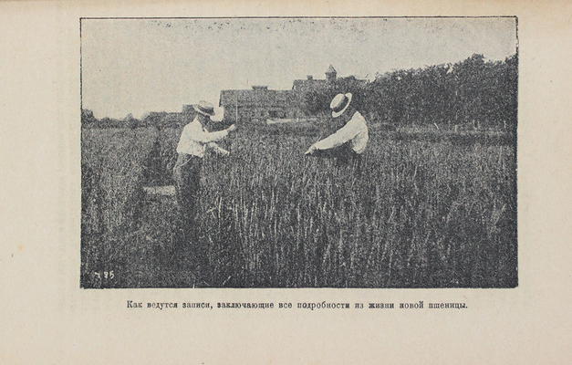 Гарвуд В.С. Обновленная земля. Сказание о победах современного земледелия в Америке. М., [1919].