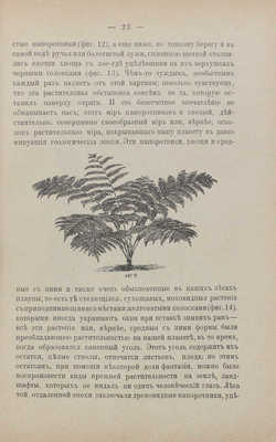 Тимирязев К.А. Жизнь растения. 10 общедоступных чтений. С 80 фигурами в тексте и двумя фототипиями. 4-е изд. М., 1896.