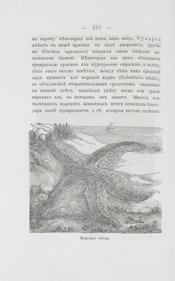 Уоллес А.Р. Естественный подбор. СПб.: Тип. Ф. Сущинского, 1878.