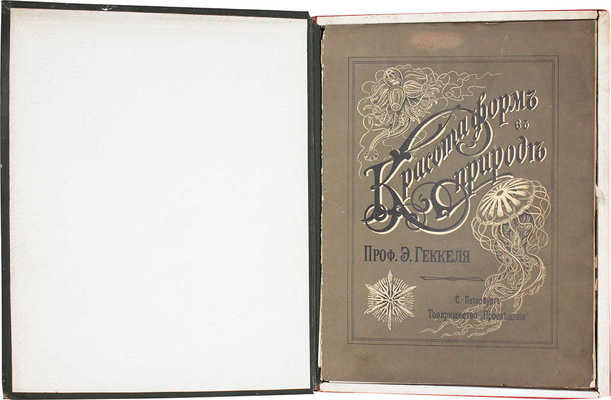 Геккель Э. Красота форм в природе. [В 20 вып.]. Вып. 1-13. СПб.: Т-во «Просвещение», 1902.