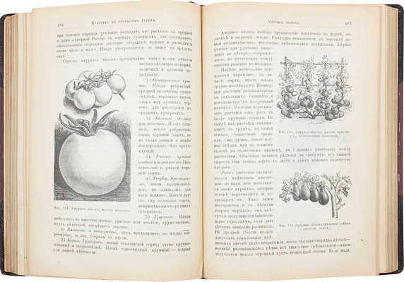 Шредер Р.И. Русский огород. Питомник и плодовый сад. Руководство к наивыгоднейшему устройству и ведению... СПб., 1897.