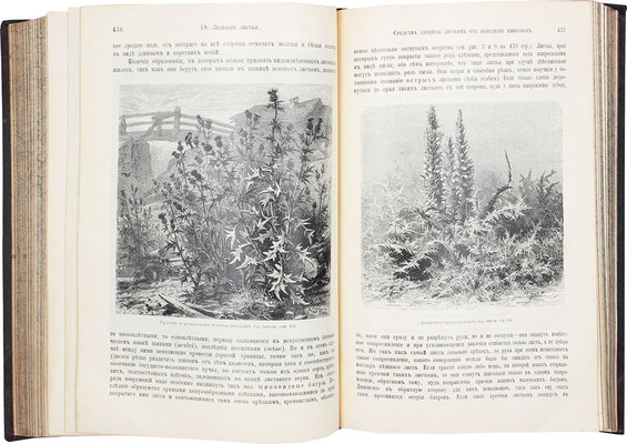 Кернер фон Марилаун А. Жизнь растений. СПб.: Книгоиздательское т-во «Просвещение», 1899-1903.