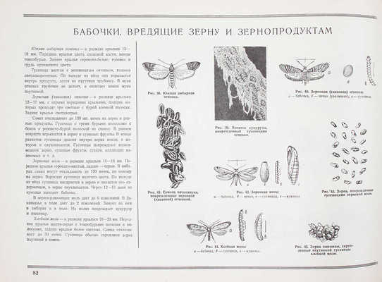 Главнейшие вредители и болезни сельскохозяйственных растений и меры борьбы с ними. М.: Агроплакат, 1939.