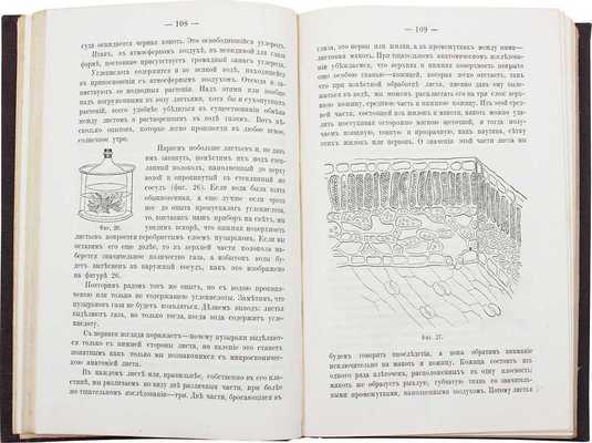 Тимирязев К. Жизнь растения. Десять общедоступных чтений. 2-е изд., испр. и доп. М.: Изд. книгопродавца А.Л. Васильева, 1885.