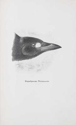 Томпсон Э.С. Рассказы из жизни животных / Пер. с англ. СПб.: Изд. Ф. Павленкова, 1901.