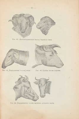Придорогин М.И. Экстерьер сельскохозяйственных животных. 4-е изд. [М.]: Кн-во студентов МС.-Х.И., 1919.