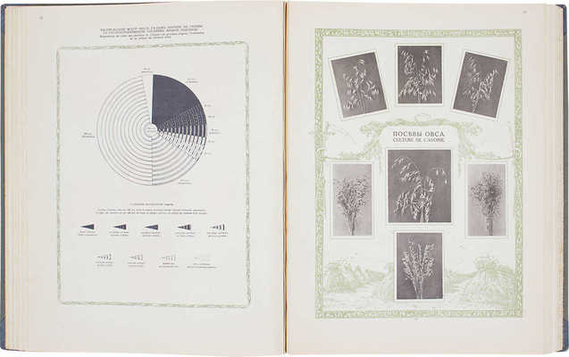Лот из двух книг по сельскому хозяйству, предпринятых по распоряжению Главноуправляющего землеустройством и земледелием статс-секретаря А.В. Кривошеина: