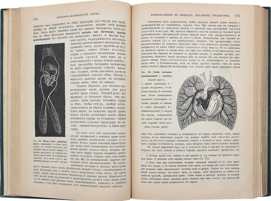 Жук В.Н. Мать и дитя. Гигиена в общедоступном изложении / 3-е просмотр. и доп. изд. СПб., 1889.