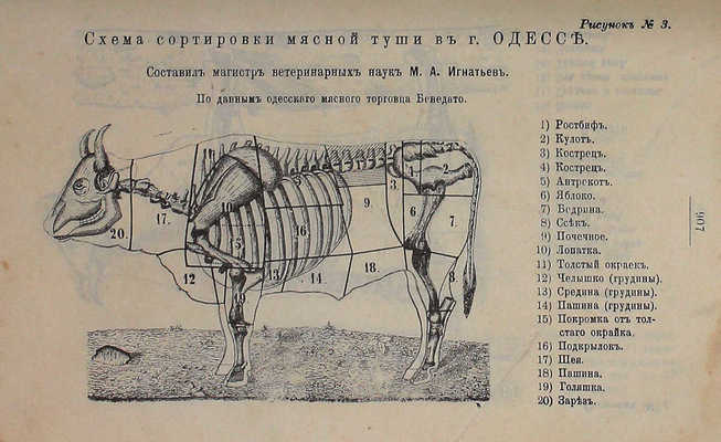 Александрова-Игнатьева П.П. Практические основы кулинарного искусства. Руководство для кулин. шк. и для самообучения. С прил. крат. попул. курса мясоведения магистра вет. наук М.А. Игнатьева. 10-е изд. СПб.: Тип. Я. Трей, 1914.