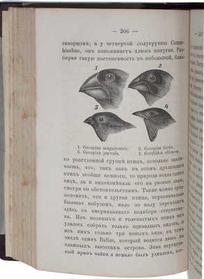 [Первое русское прижизненное издание]. Дарвин Ч. Путешествие вокруг света на корабле Бигль. С портретом Ч. Дарвина. [В 2 т.]. Т. 1—2 / Пер. под ред. А. Бекетова. СПб.: Изд. князя А.С. Голицына, 1865.