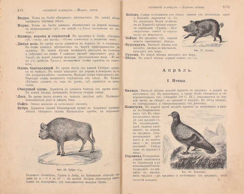 Сабанеев Л.П. Охотничий календарь. Справочная книга для ружейных и псовых охотников. 2-е изд., передел. и знач. доп. М.: Издание А.А. Карцева, 1892.