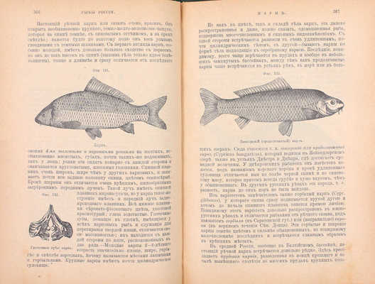 Сабанеев Л.П. Рыбы России. Жизнь и ловля (уженье) наших пресноводных рыб. С биографией Л.П. Сабанеева и 492 политипажами в тексте. С приложением «Рыболовного календаря» Л.П. Сабанеева, с новейшими дополнениями по уженью И.Т. Плетенева. 3-е изд. М., 1911.