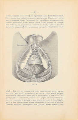 Руководство к хирургической анатомии. [В 2 ч.]. [Ч. 2: Таз, верхние и нижние конечности]. М.: Высочайше утвержденное т-во «Печатня С.П. Яковлева», 1893.