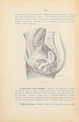 Руководство к хирургической анатомии. [В 2 ч.]. [Ч. 2: Таз, верхние и нижние конечности]. М.: Высочайше утвержденное т-во «Печатня С.П. Яковлева», 1893.