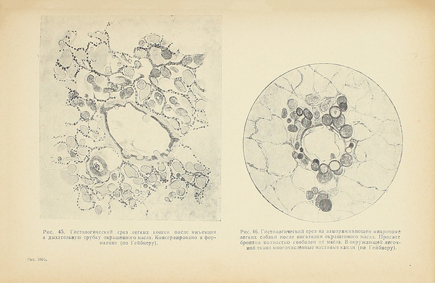 Флюри Ф., Церник Ф. Вредные газы / Пер. с нем. И.С. Аруина, А.В. Назарова, Р.М. Стрыковского; под ред. Г.М. Майрановского. М.: Ред. хим. лит. ГОНТИ, 1938.