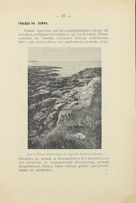 Бутурлин С.А., Ивашенцов А. П. Охота с камерой. Фотографирование живой природы. В 2 ч. СПб.: Тип. В.Я. Мильштейна, [1912].