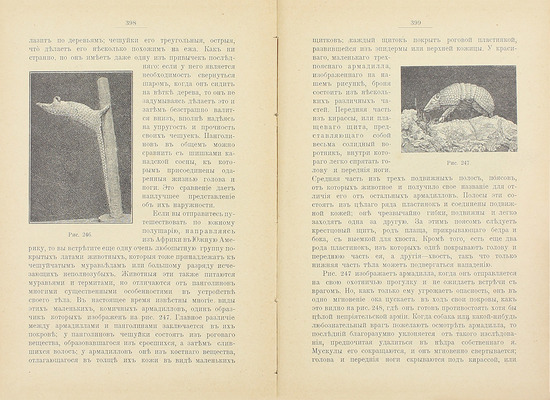 Аллен Ч.Г. В тайниках природы. Борьба, защита, работа и сон в мире животных и растений / Пер. с англ. М.П. Волошиновой. [СПб.]: Изд. О.Н. Поповой, 1902.