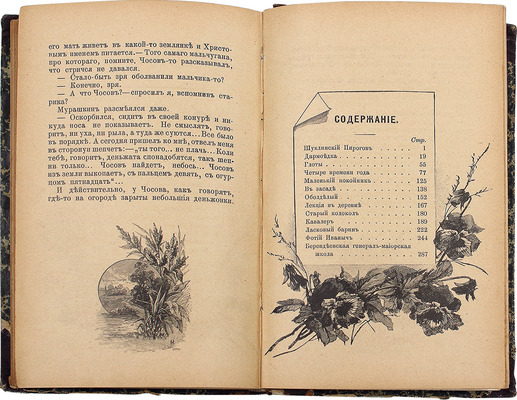 [Собрание В.Г. Лидина]. Салов И.А. С натуры. Очерки и рассказы. М.: Изд. кн. маг. журнала «Артист», 1893.