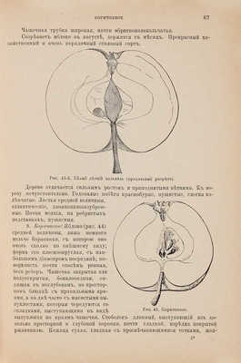 Руководство к плодоводству для практиков по Гоше. СПб.: А.Ф. Девриен, 1899-1900.