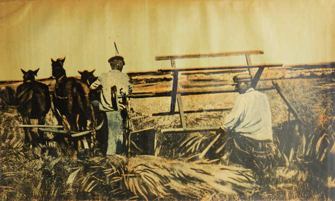 [Фотокнига] Ведущие. В боях за большевистские колхозы, за высокий урожай, за развитие животноводства. Смоленск, 1933.