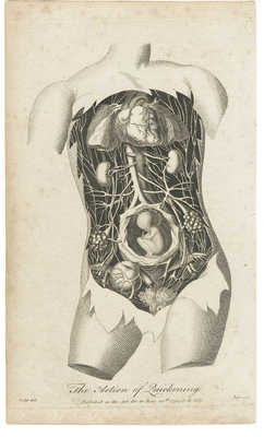 Гравюра с изображением женского тела. 1794.