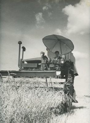 Десять фотографий работы фотографа В. Гайлиса. [1960/70-е].