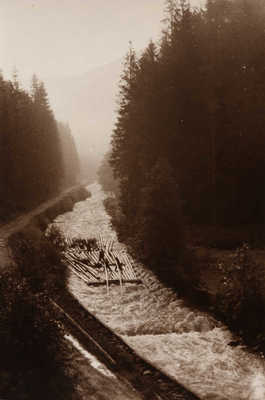 Фотография «Сплав леса. Закарпатье» / Фотограф Н. Хорунжий. 1950-е.