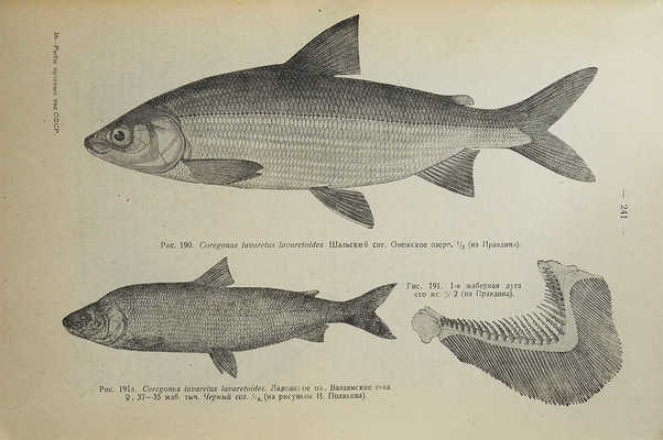 Берг Л.С. Рыбы пресных вод СССР и сопредельных стран / Наркомснаб СССР. Ч. 1−2. 3-е изд., испр. и доп. Л., 1932−1933.