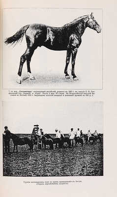 Урусов С.П. Книга о лошади. в 2 тт. СПб.: Деятель, [1911]-[1912]. 