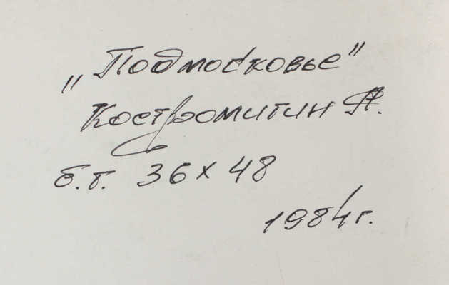 Костромитин Андрей Николаевич. Подмосковье