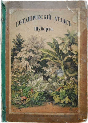 Ботанический атлас Шуберта. СПб.: Издание книгопродавца Ф.А. Битепажа, 1870.