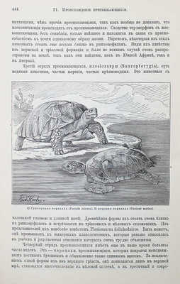 Гааке В. Происхождение животного мира. СПб., 1902.